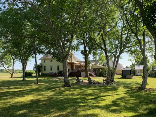 bd0e2921-e118-4ffc-b1c5-adf526b590cc